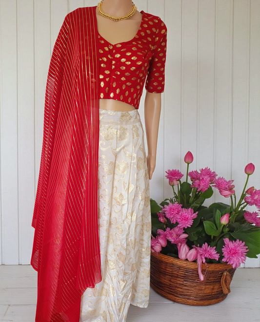 Dhavani set (Delivery in 3-5days )