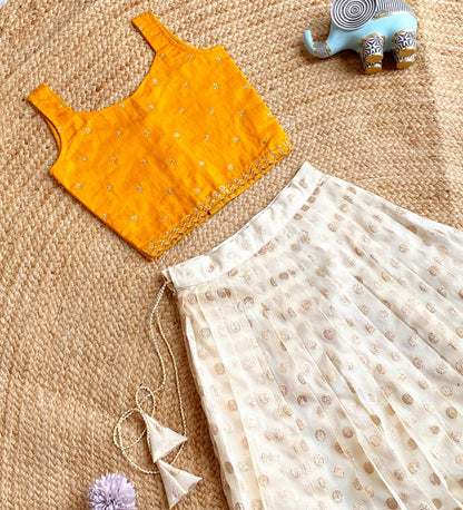 Kids Girls Skirt and Top (Delivery in 15-203 Working days )