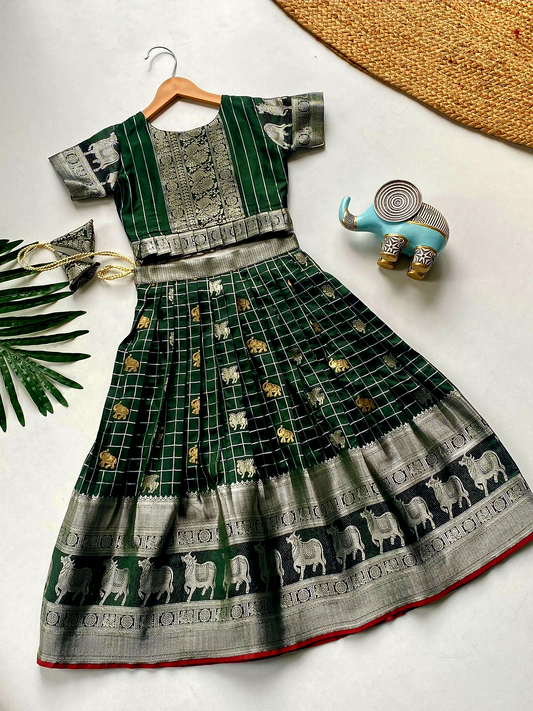Kids Girls Skirt and crop  Top (Delivery in 15-18 working days )