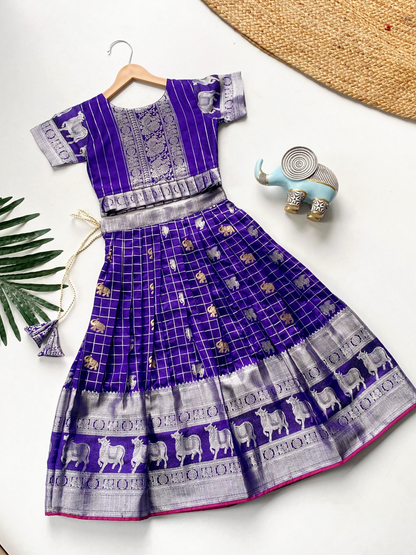 Kids Girls Skirt and Crop top (Delivery in 15-18 days )