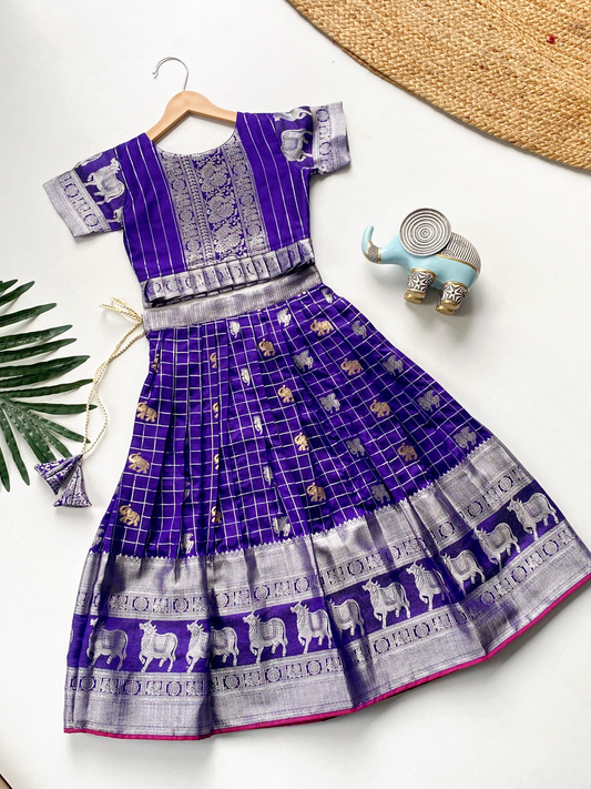 Kids Girls Skirt and Crop top (Delivery in 15-18 days )